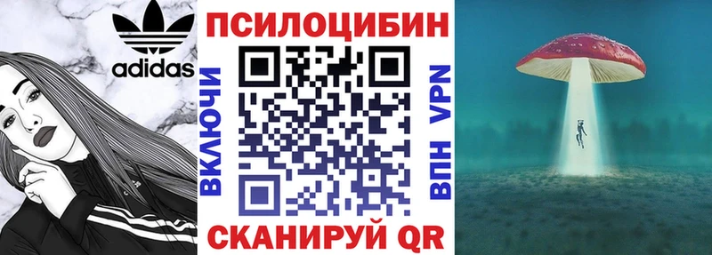 Псилоцибиновые грибы мухоморы  купить  цена  Ардон 