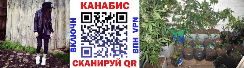мега зеркало  Ардон  Конопля White Widow  как найти  